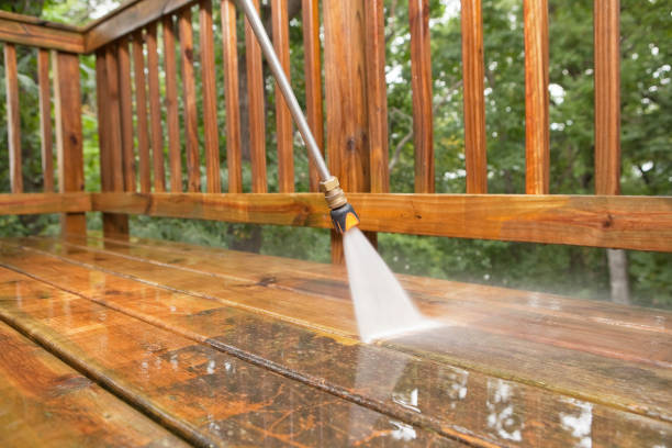 Best Affordable Power Washing  in Palmhurst, TX